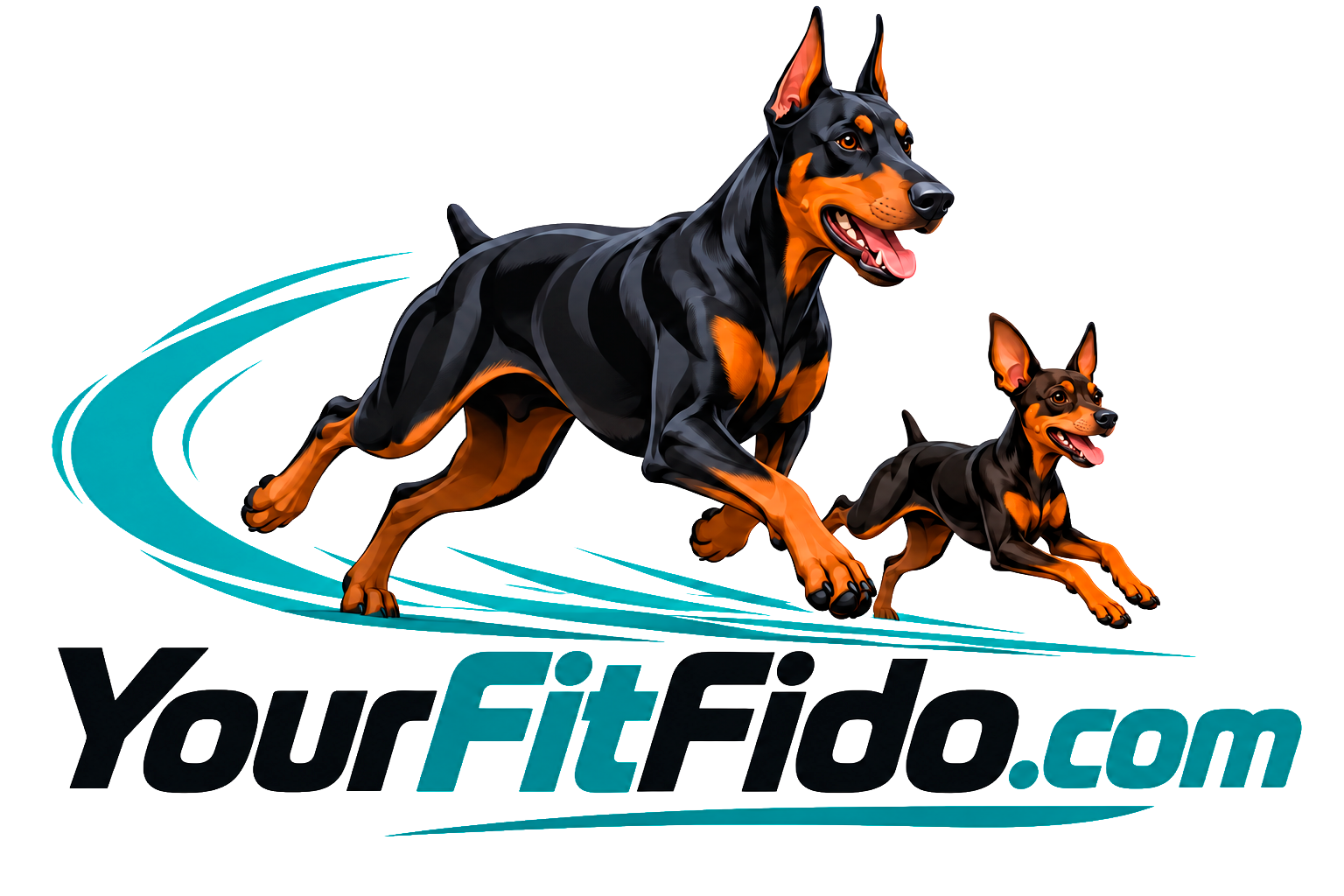 Your Fit Fido